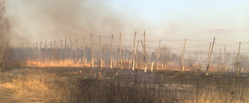 Полыхающее Бразервиль-поле